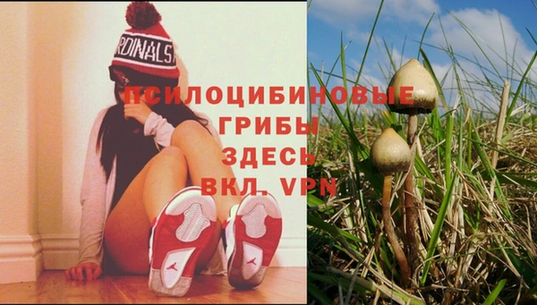 СК Алзамай