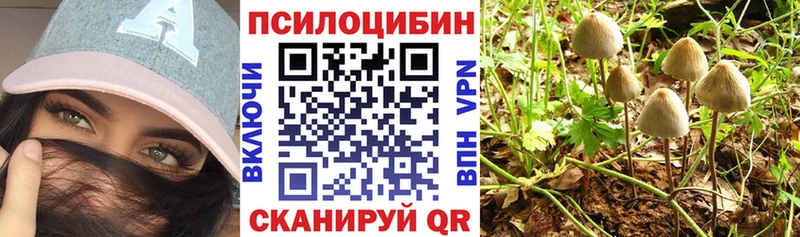 как найти наркотики  Казань  Псилоцибиновые грибы GOLDEN TEACHER 